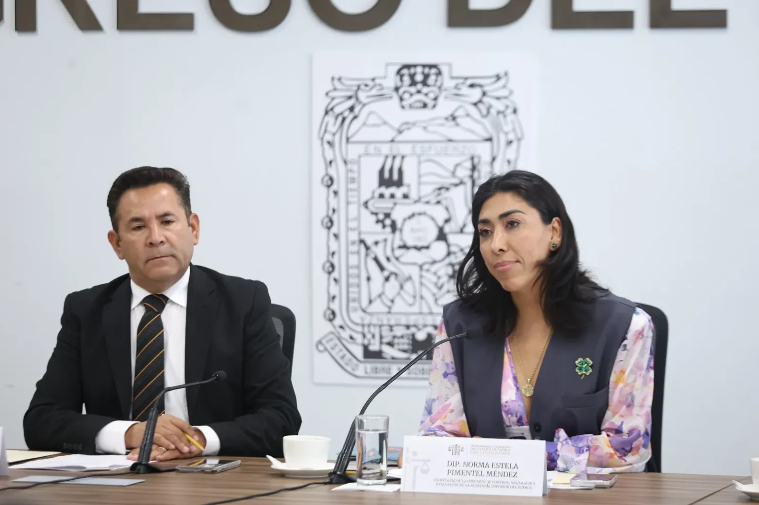 Presenta Comisión del Congreso informe definitivo 2024 de la ASE