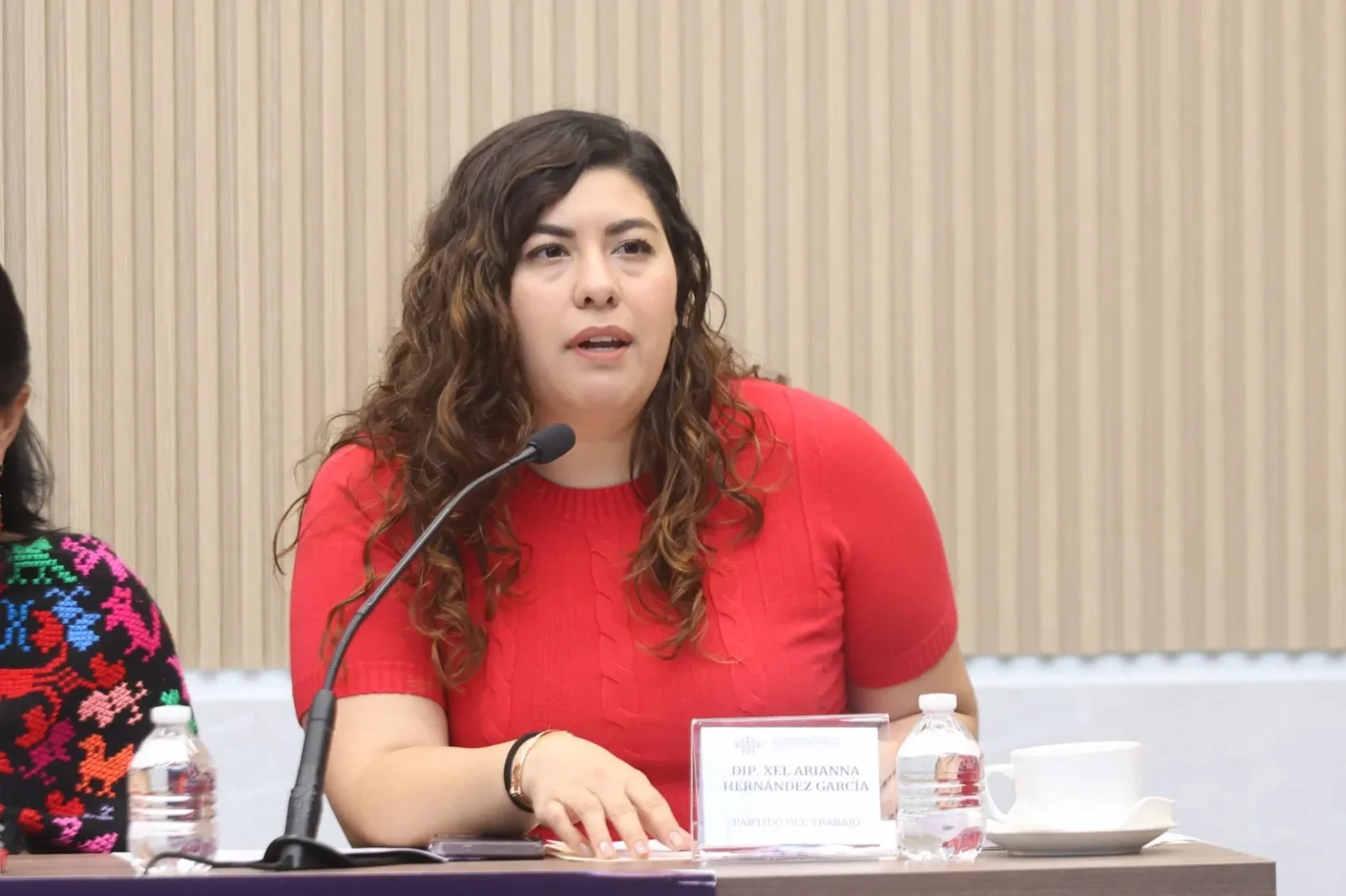 Xel Arianna Hernández elevar sanciones contra el abuso sexual