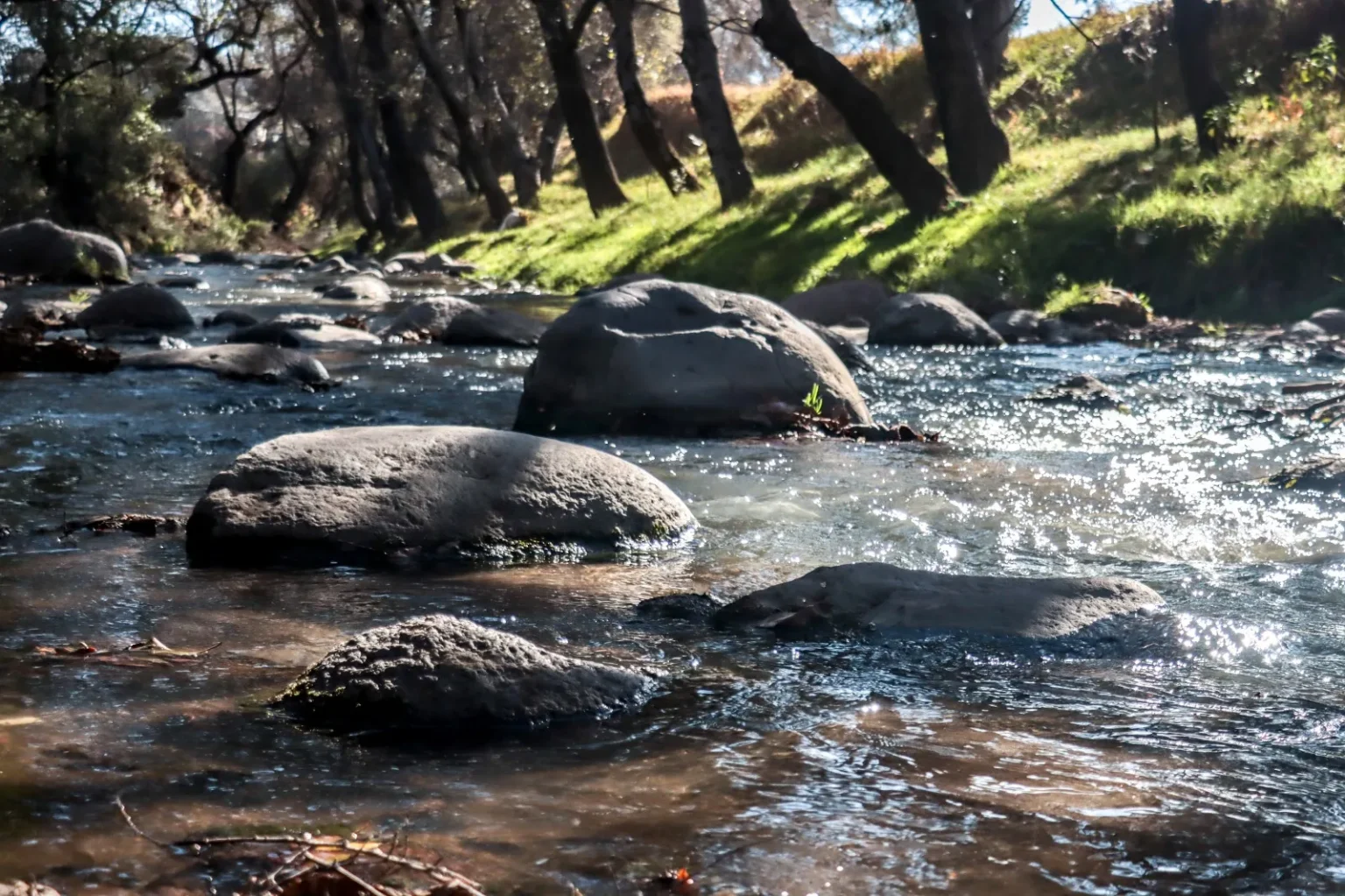 CDH Puebla demanda medidas urgentes y sostenibles frente a la contaminación del Río Atoyac