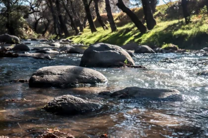 CDH Puebla demanda medidas urgentes y sostenibles frente a la contaminación del Río Atoyac