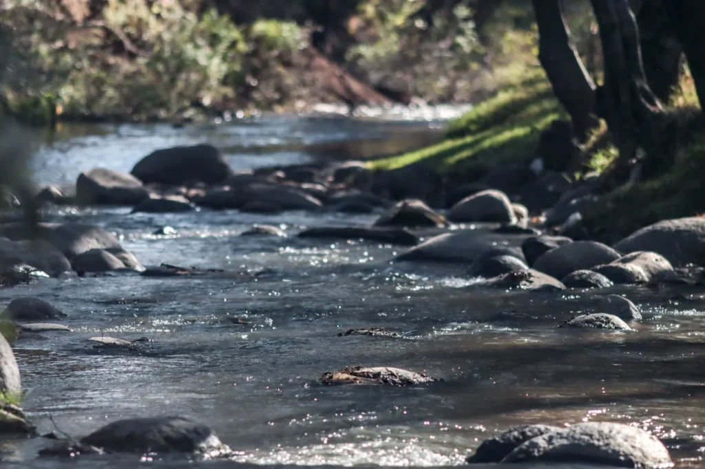 CDH Puebla demanda medidas urgentes y sostenibles frente a la contaminación del Río Atoyac