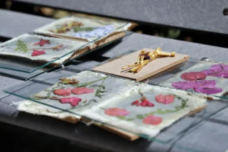 Imparte DIF Puebla Capital taller de cianotipia a personas adultas mayores