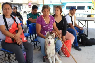 Pepe Chedraui impulsa jornadas de bienestar animal en distintas colonias de Puebla