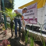 Refuerza gobierno de Pepe Chedraui acciones de reforestación en la capital poblana