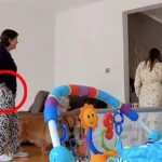 Continua la búsqueda de Érika María Herrera