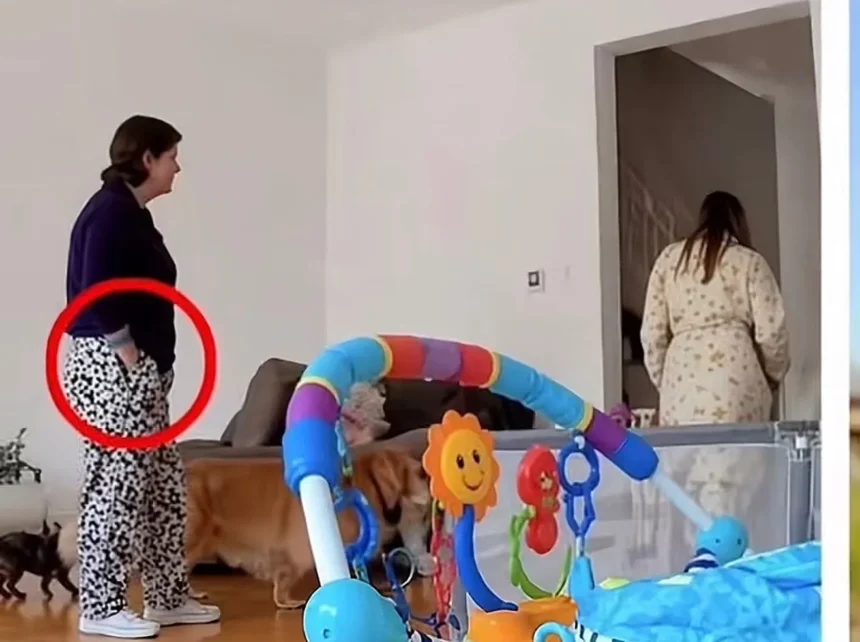 Continua la búsqueda de Érika María Herrera