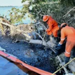 Derrame de petróleo en Veracruz; Pemex admite fuga en ducto