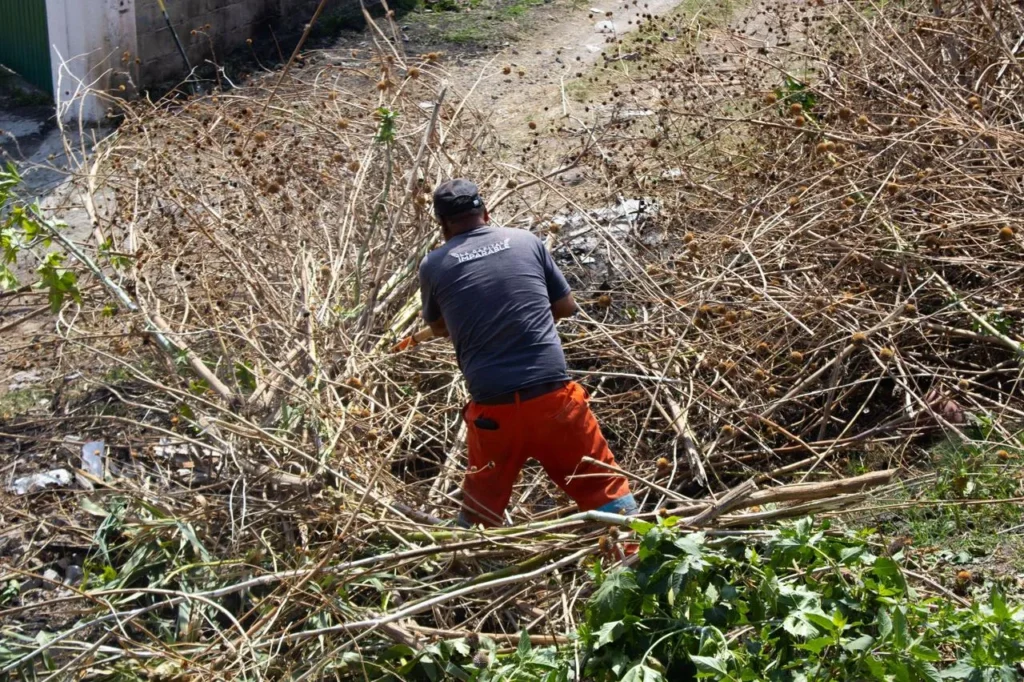 Gobierno de Pepe Chedraui inicia intervención de limpieza en barranca de Río Zapatero