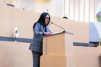 Propone la diputada Fedrha Suriano crear el Registro Estatal de Obligaciones Alimentarias