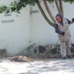 Realiza Gobierno de Pepe Chedraui labores de poda y chapeo en espacios públicos