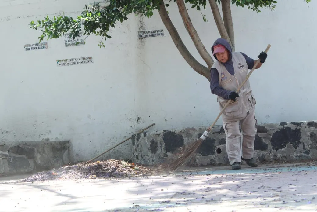 Realiza Gobierno de Pepe Chedraui labores de poda y chapeo en espacios públicos