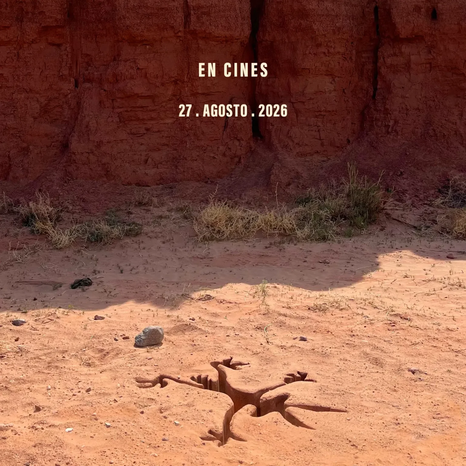 Zima Entertainment lanza el tráiler en español de la película “Coyote vs Acme” a las 1300 horas.