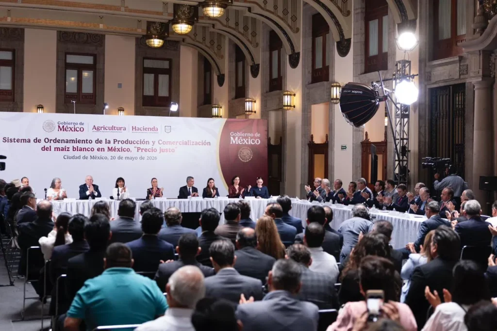 Claudia Sheinbaum firma acuerdo para la creación del sistema de ordenamiento de la producción y comercialización del maíz blanco “precio justo”