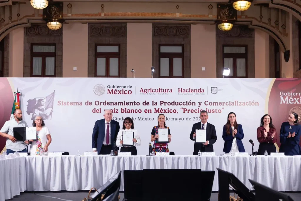 Claudia Sheinbaum firma acuerdo para la creación del sistema de ordenamiento de la producción y comercialización del maíz blanco “precio justo”