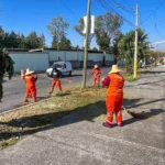 Implementa Gobierno de Pepe Chedraui estrategia para fortalecer la limpieza urbana en Cúmulo de Virgo