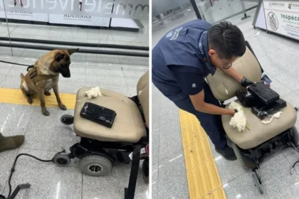 ae pasajero en el AICM Ocultaba casi 9 kilos de cocaína en una silla de ruedas