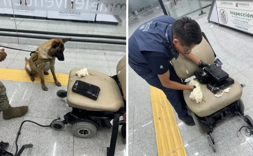 ae pasajero en el AICM Ocultaba casi 9 kilos de cocaína en una silla de ruedas