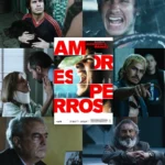‘Amores Perros’ de película a serie
