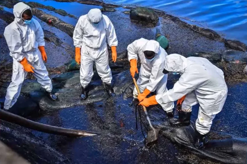 Derecho penal global facilitaría sancionar el ecocidio, externa Guadalupe Valdés