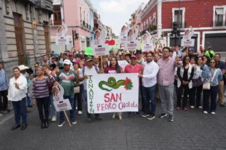 Desde Puebla, Tonantzin Fernández respalda el proyecto de transformación encabezado por Claudia Sheinbaum