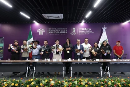 Desde el Congreso del Estado, invitan a vivir la experiencia del avistamiento de luciérnagas (1)