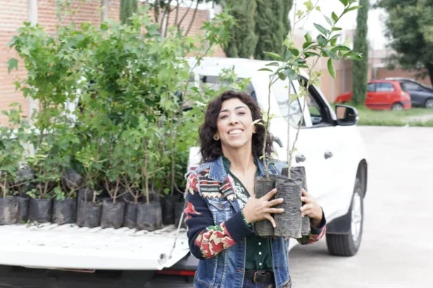 Diputada Norma Pimentel impulsa jornadas de reforestación en escuelas y reafirma su compromiso con el cuidado del medio ambiente