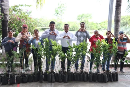 Diputado Pável Gaspar promueve jornadas de reforestación en San Juan Epatlán y Chiautla de Tapia