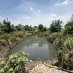 SOSAPACH realiza trabajos preventivos de desazolve en vaso regulador del Barrio de Santiago