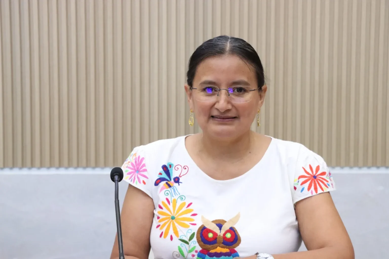 Consulta a pueblos y comunidades indígenas es fundamental para construir una Ley acorde a sus realidades Esther Martínez