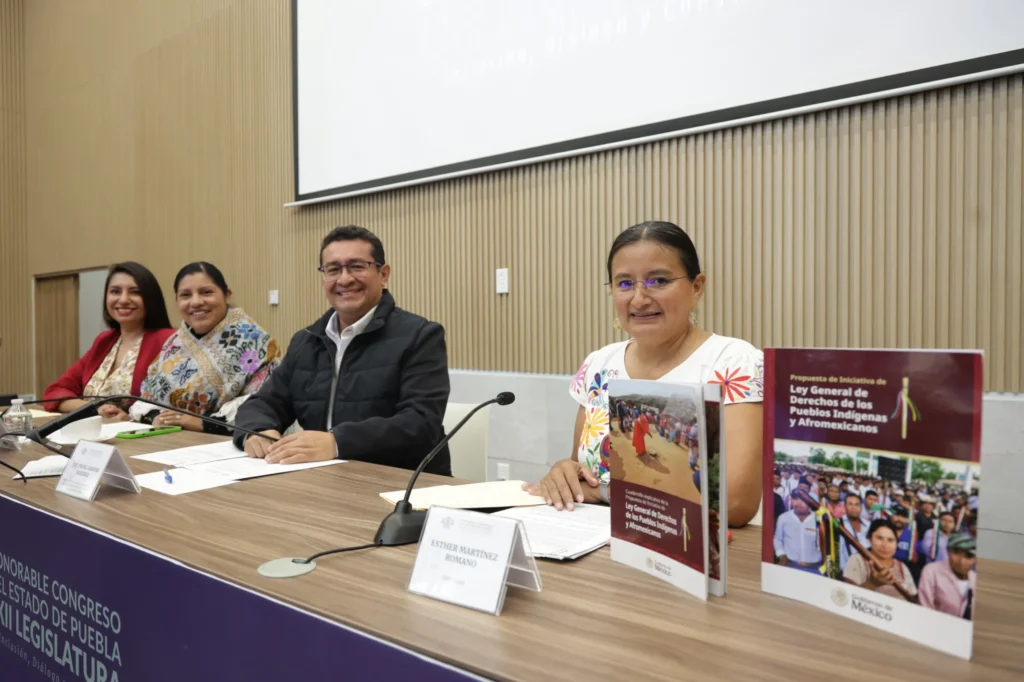 Consulta a pueblos y comunidades indígenas es fundamental para construir una Ley acorde a sus realidades Esther Martínez
