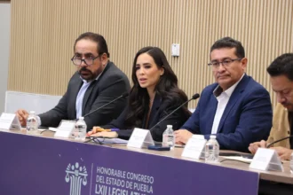 Destaca diputada Graciela Palomares propuesta legislativa para proteger a la niñez en el entorno digital