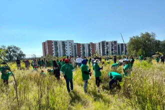 Impulsa Gobierno de Pepe Chedraui restauración del Cerro de Amalucan con “Raíces del Futuro”