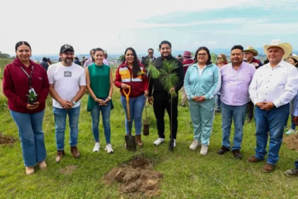 Impulsa Tonantzin Fernández acciones permanentes de reforestación en el Cerro Zapotecas