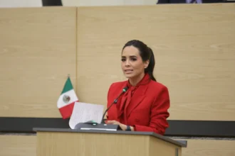 Propone diputada Elvia Graciela Palomares exhorto para reforzar operativos contra la venta de autopartes ilícitas en la 46 Poniente