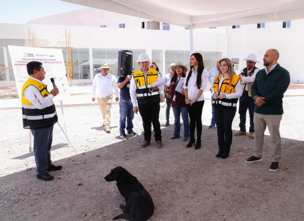 Registra 77% de avance la Primera Célula de Bienestar Animal del Estado