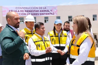 Registra 77% de avance la Primera Célula de Bienestar Animal del Estado