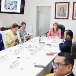 Consejo Técnico de Adopciones del SEDIF Puebla fortalece procesos