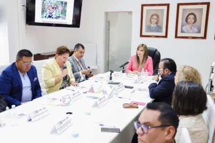Consejo Técnico de Adopciones del SEDIF Puebla fortalece procesos