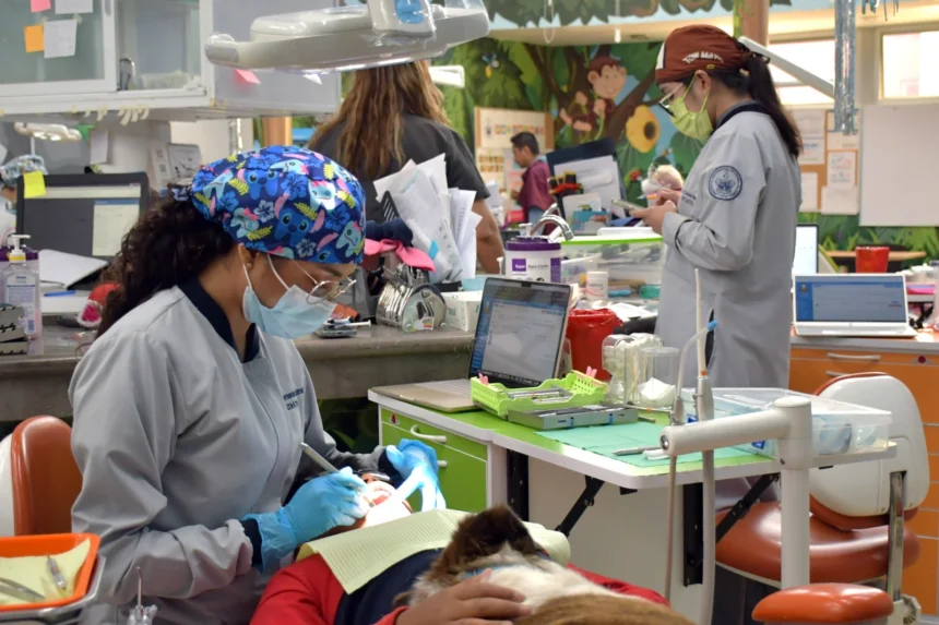 Proporciona BUAP tratamiento dental especializado a menores de edad