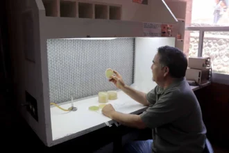 Superbacteria global se aloja en seres vivos, agua y alimentos: Santiago Castillo Ramírez