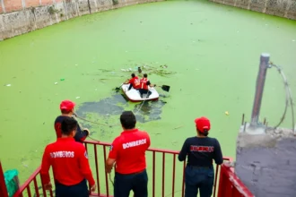 Bomberos de Cuautlancingo rescatan con éxito a ser sintiente en vaso regulador