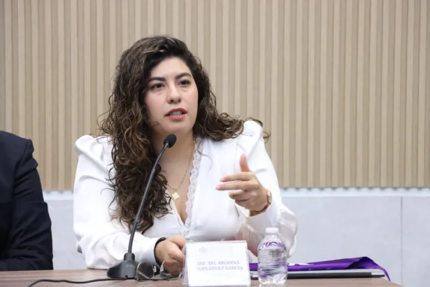 Impulsa diputada Xel Arianna Hernández iniciativa en materia de violencia vicaria