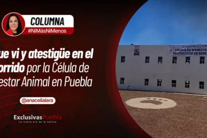 LO QUE VI Y ATESTIGÜÉ EN EL RECORRIDO POR LA CÉLULA DE BIENESTAR ANIMAL DE PUEBLA