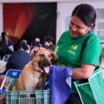 Lupita Cuautle promueve una cultura de respeto y bienestar animal
