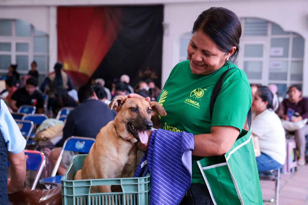 Lupita Cuautle promueve una cultura de respeto y bienestar animal
