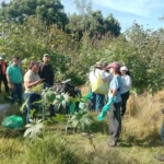 Organismo Operador del Servicio de Limpia y ciudadanía recuperan predio en Zerezotla para prevenir la formación de un basurero clandestino