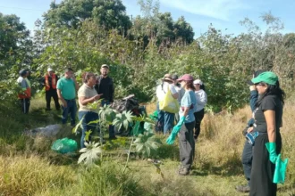 Organismo Operador del Servicio de Limpia y ciudadanía recuperan predio en Zerezotla para prevenir la formación de un basurero clandestino