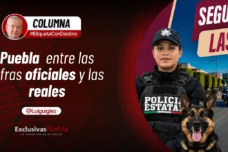 Puebla entre las cifras oficiales y las reales
