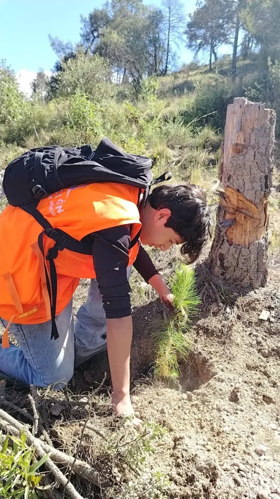 Voluntariado de Altosano y Fundación GCM participa en jornada de reforestación 2026 en Los Molinos