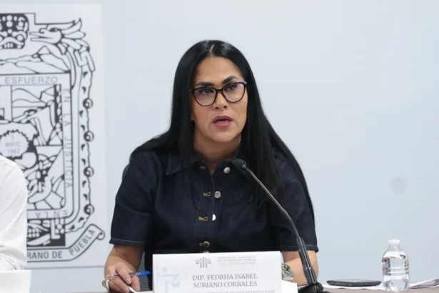 Avala Comisión del Congreso exhorto para fortalecer programas de cultura vial escolar